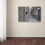 « dantel street cat », reproduction de photo sur toile tendue-22371713