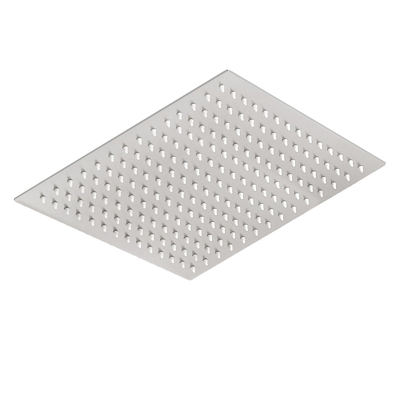 Rain Fixed Shower Head 1.8 GPM GPM with Water Filtration