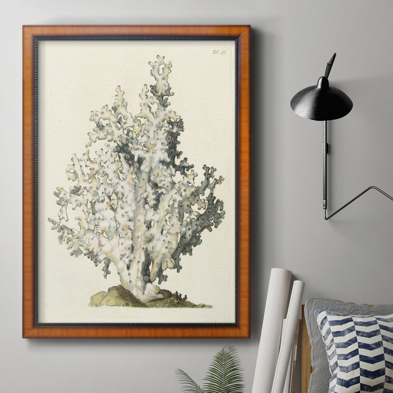 Corail antique I, toile encadrée de qualité supérieure - prête à être accrochée, H 27 po x l 18 po x P 2,5 po