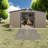 Durable Metal Sheds With Sunlit Windows, Modern Backyard Storage Solution