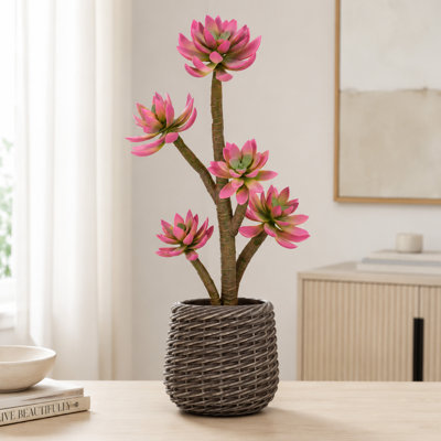 65cm  Fuzzy 3-Prong Artificial Succulent Lotus (Stone Lotus) in Woven Pot, Faux Cactus Plants Indoor Fake Succulents Artificial Lotus Flower for Home Office Decor (Pink/Blue-Red Tip)