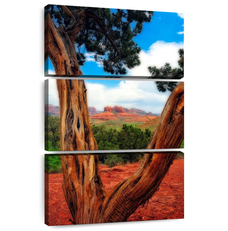 Nicci Desert Reds, 65" H x 42" W
