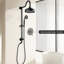 Douche pluviale 8 po et douche à main en noir mat au look épuré-126353116