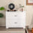 Bertenshaw 35.5'' Wide 2 -Drawer File Cabinet-1807607860