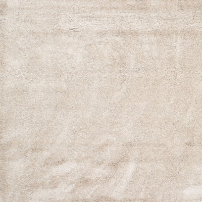 Indoor Rug
