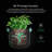Heavy Duty Thickened Plant Grow Bags-53420854