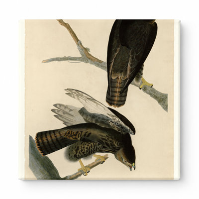 «Black Warrior» (planche 86) - art mural carré sur toile