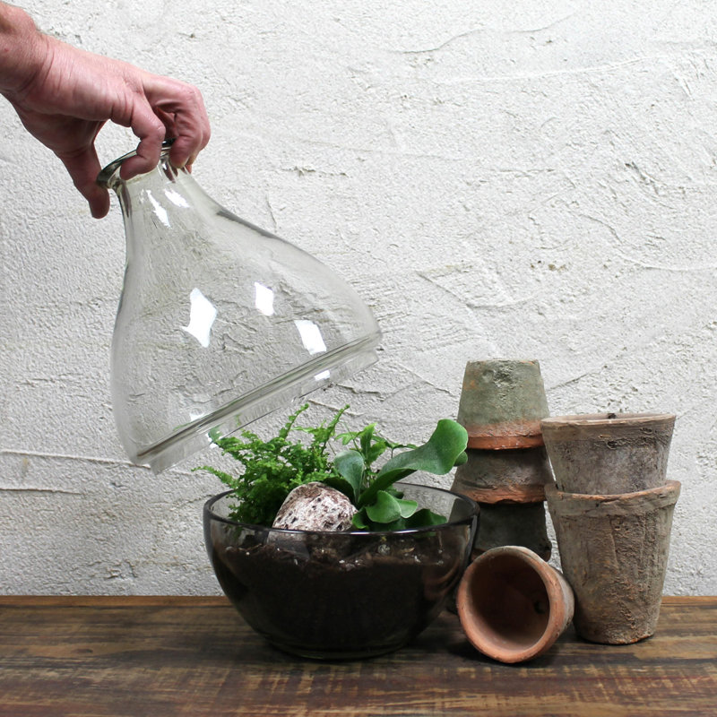 Terrarium, verre