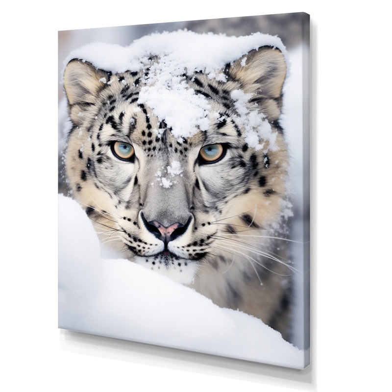 Tigre blanc en hiver I - impression, H 40 po x l 30 po x P 1,5 po, Toile tendue