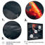«Birchley Black and Red Tropical Fish II», reproduction sur toile-87344352-87344356