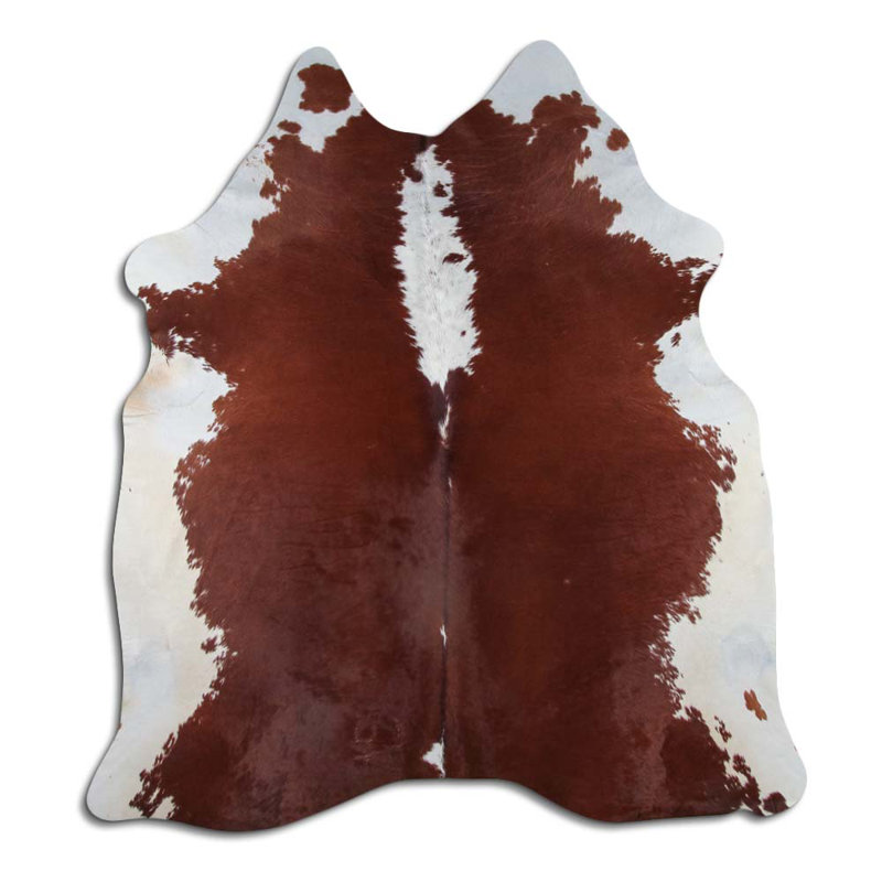 Hereford Colona
