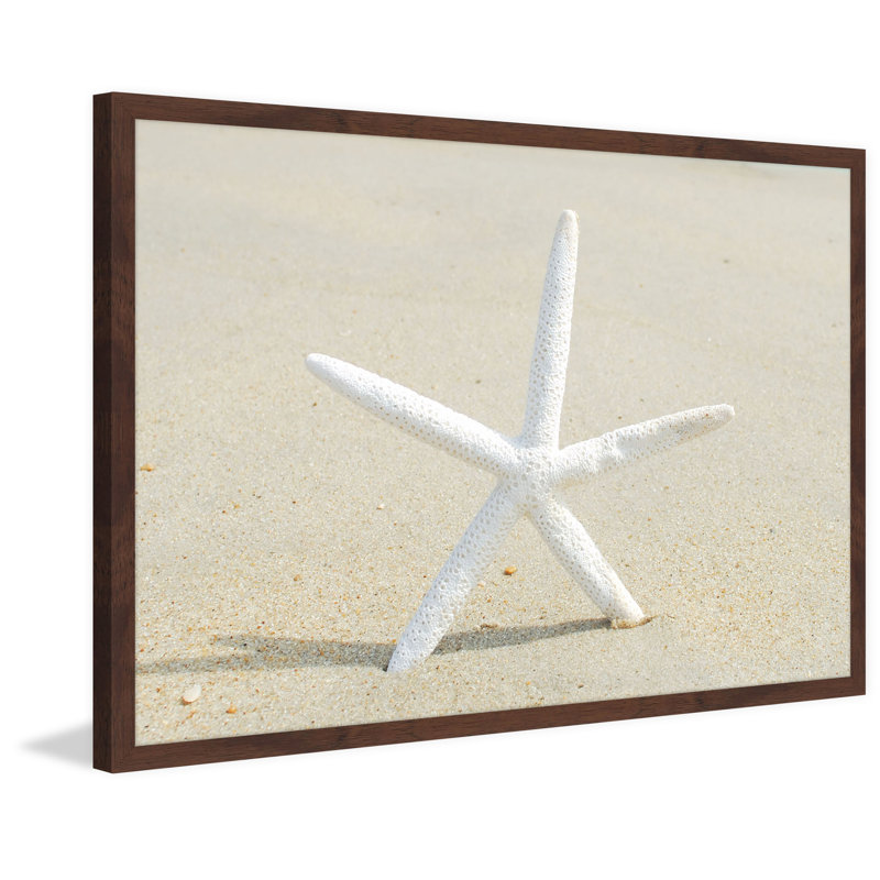 Sharon Kalstek - Single Picture Frame Print, 61cm H x 91cm W x 3.81cm D