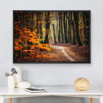 Autumn Fall Forest Tree Nature Landscape Pictures Large Framed Canvas Print Wall Art