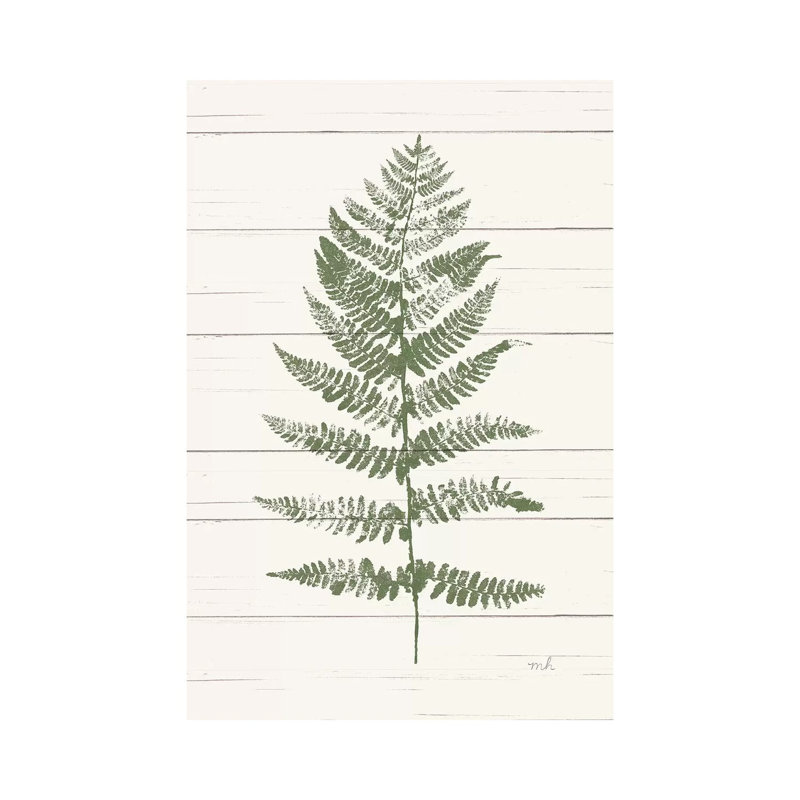 Fern Print II by Moira Hershey - Wrapped Canvas Print, 20.32 cm H x 30.48 cm W