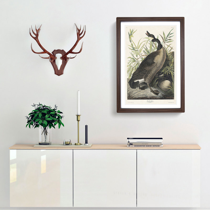 Canada Goose by John Audubon - Picture Frame Painting Print, Walnut Framed, 65cm H x 48cm W x 2cm D