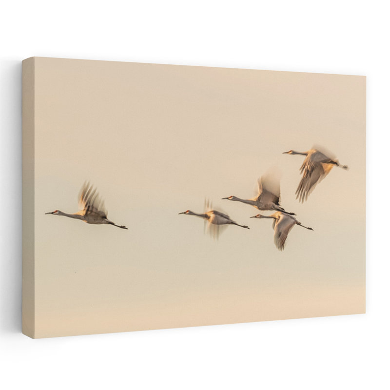 Contemporary Art Abstract Contemporary Bird Fly Nature Wildlife Wall Art 1 Piece Wrapped Canvas Wall Art