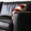 Causeuse-coussin modulable noire en cuir véritable-128966277