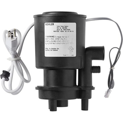 Assembly, Pump Flush84153