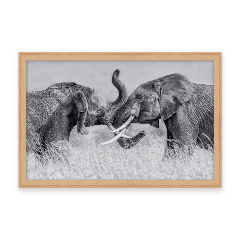 Nature Inspired Elephant Tai Chi by - Picture Frame Photograph on Paper, 24" H x 36" W x 1.125" D, Black