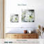 Amaryllis blanc Harnek II-109358171