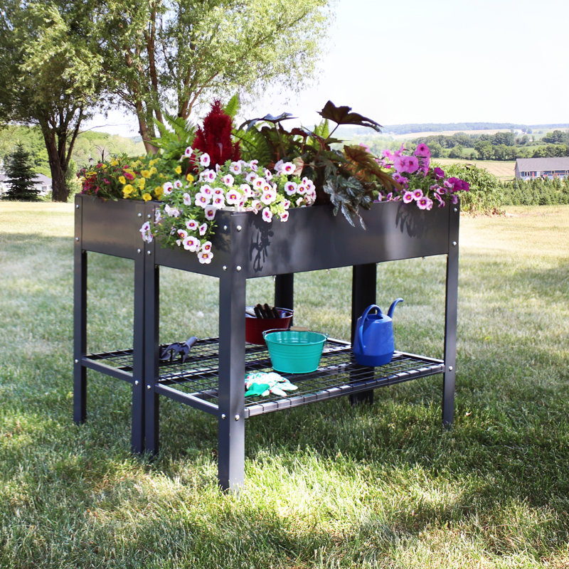 Ensemble de lit de jardin surélevé en acier galvanisé Pinero - 2 - gris foncé, Gris foncé