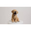 Animals Weather Resistant Polyresin Garden Statue