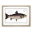 Brown Trout Fish by M.E. Bloch - Picture Frame Art Print-55681113-55681115