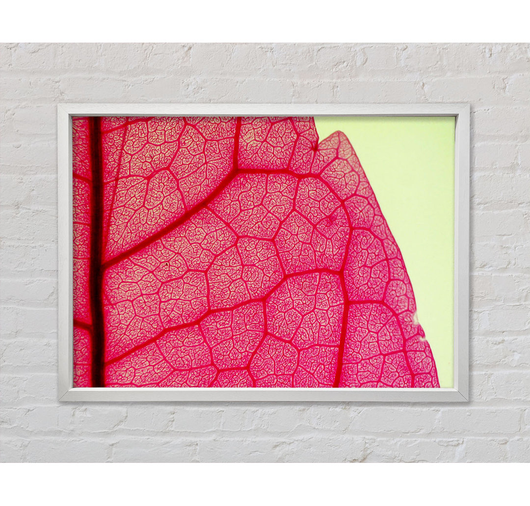 Pink Leave Beauty - Einzelner Bilderrahmen Kunstdrucke auf Leinwand