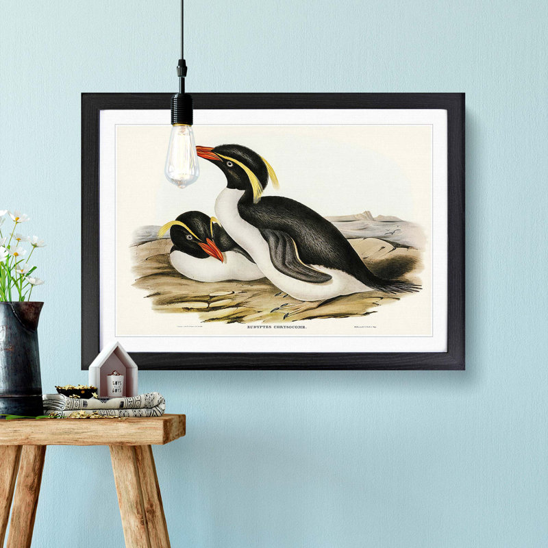 Crested Penguins by Elizabeth Gould - Framed Print, 48cm H x 65cm W x 2cm D, Black Framed