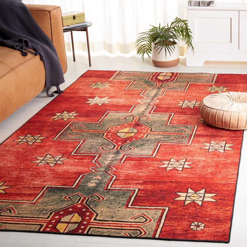 Tapis intérieur / extérieur lavable à la machine Danna Tucson, Rectangle 6 pi x 9 pi