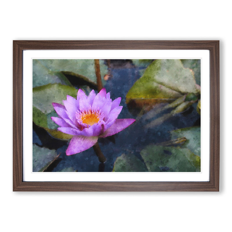 Purple Water Lily Flower - Framed Print, 36cm H x 48cm W x 2cm D, Walnut Framed