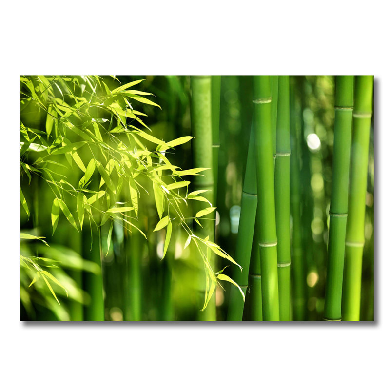 Bamboo Zen Print, 30" H x 40" W x 1.5" D, Acrylic