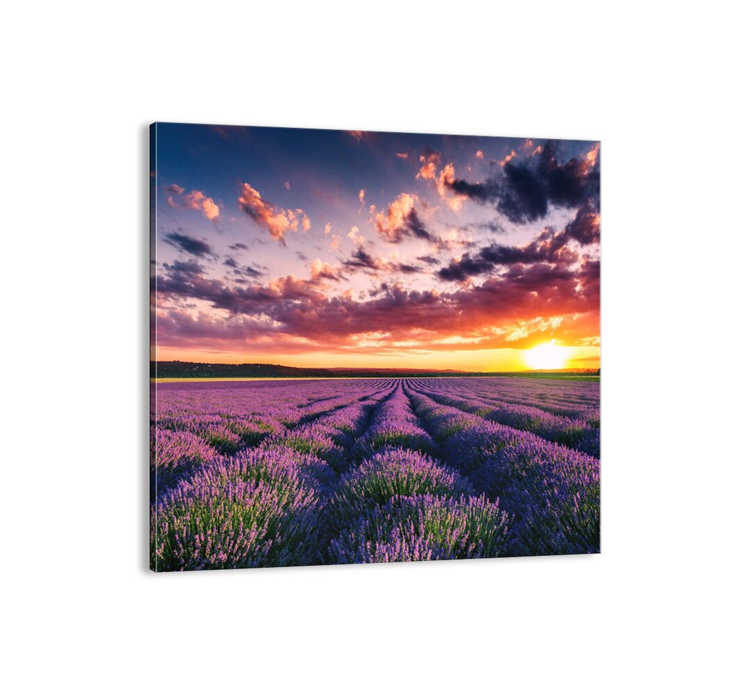 Leinwandbild - Fotografie „Lavender World”