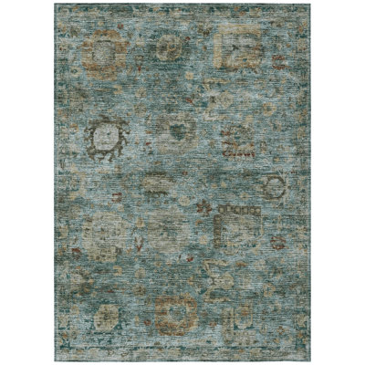 Machine Washable Indoor/Outdoor Chantille ACN2429 Traditional Rug