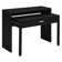 Binca Writing Desk with Drawer