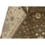 Wool Oriental Area Rug in Gold