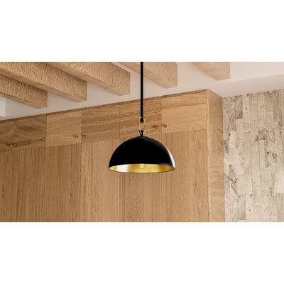 Luminaire suspendu noir mat à 1 lumière Cleo