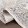 Maddyx Oriental Indoor Rug