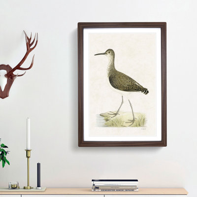 Green Sandpiper by Von Wright - Picture Frame Painting Print