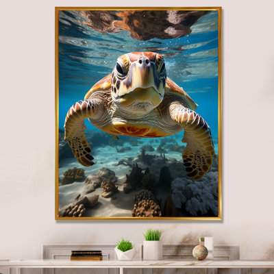 Reproduction d'art mural Turle Marine Life Encounter II