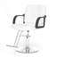 Fauteuil de coiffeur professionnel avec pivotement à 360 ° et hauteur réglable-132005620-132005621