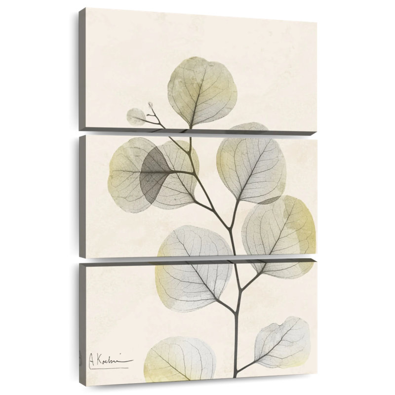 Harnek Sunkissed Eucalyptus III
