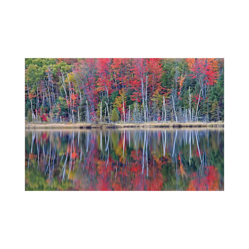 Council Lake Reflections by Brian Wolf - Wrapped Canvas Print