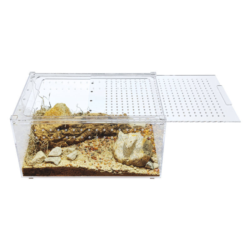 Acrylic Reptile Terrarium, 3 Gallon - 6"H x 8"W x 12"D