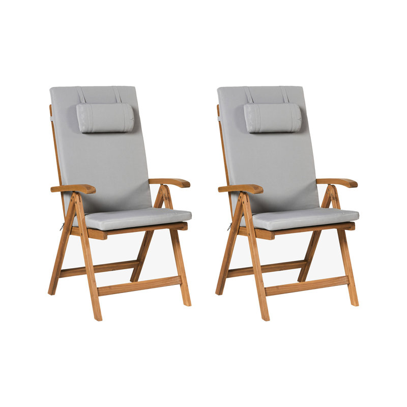 Aarica Folding Patio Dining Armchair with Cushion, Light Grey