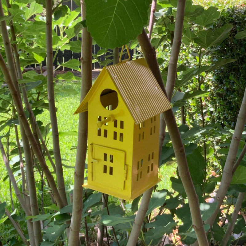 Maison d'oiseaux citronnée jaune