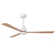 52" 3 - Blade Ceiling Fan With LED Lights And Remote Control