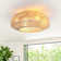 20" 6 - Speed Rattan Caged Ceiling Fan with Light Kit and Remote Control