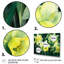 «Yellow Green Natures Impression Daffodil II» sur toile-1606517266-1606517260