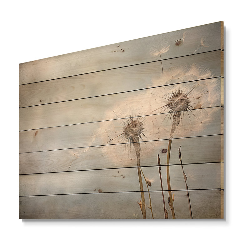 White Dandelion Farmhouse Still Life - Dandelion Wood Wall Art On Natural Pine Wood, 30" H x 40" W